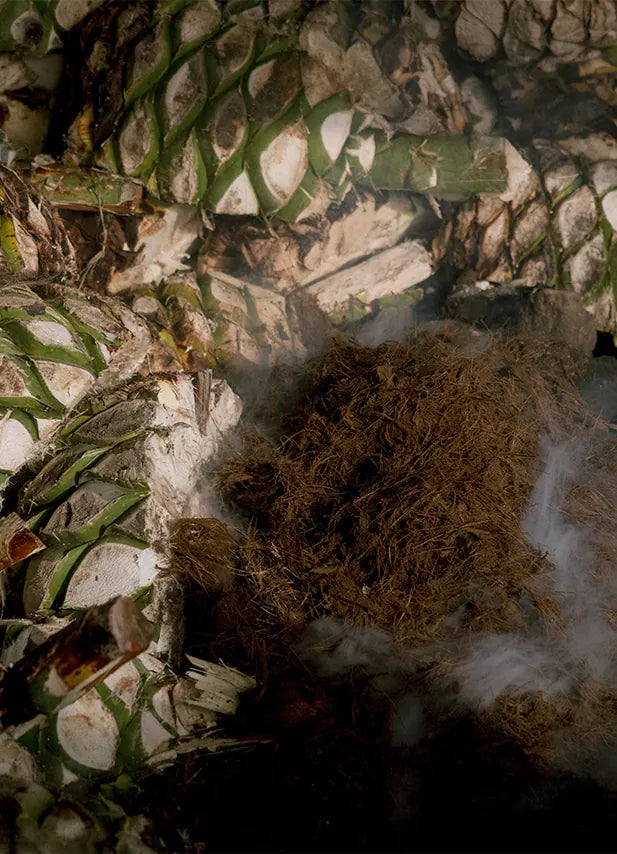 DNA Mezcal 2
