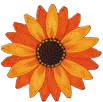 flor_naranja