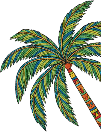 palmera