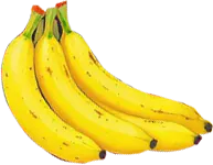platano